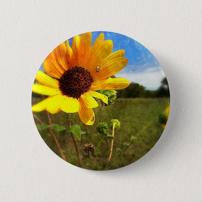 Texas Sunflowers by Jill Pinback Button (Front)
