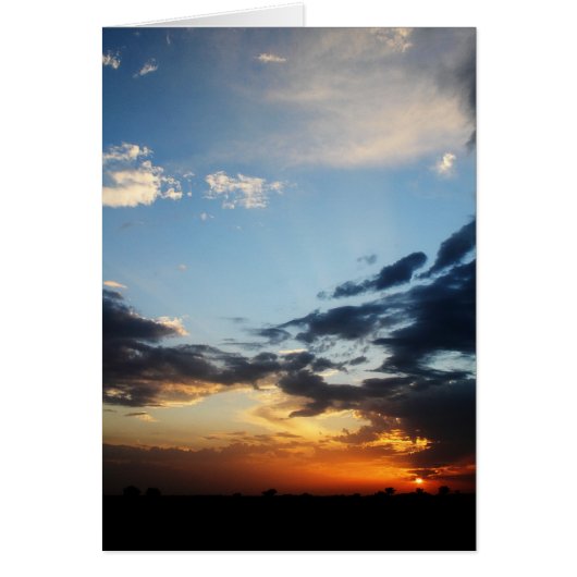 Texas Sunset #1 Cards (Front)