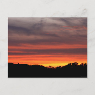 Texas Sunset Postcard