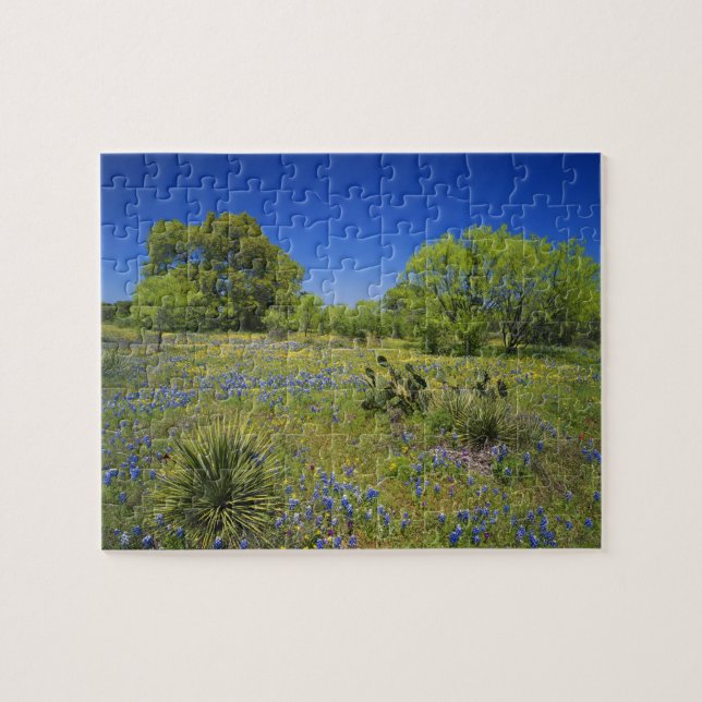 Texas, Texas Hill Country, Low bladderpod, Jigsaw Puzzle (Horizontal)