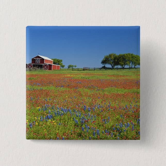 Texas, Texas Hill Country, Texas paintbrush Button (Front)
