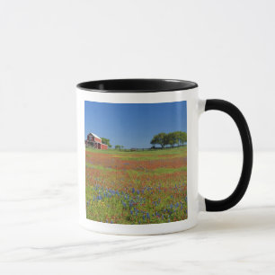 Texas, Texas Hill Country, Texas paintbrush Mug