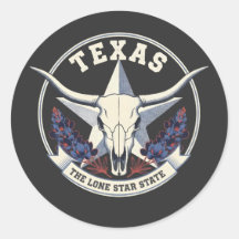 Texas: The Lone Star State