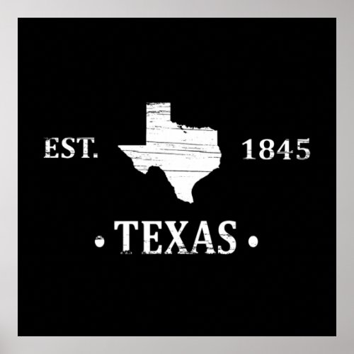 texas the lone star state poster