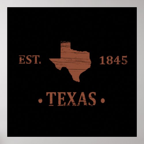 texas the lone star state poster