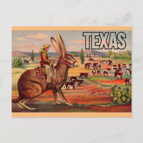 Texas Travel Greetings Postcard _ Vintage Travel