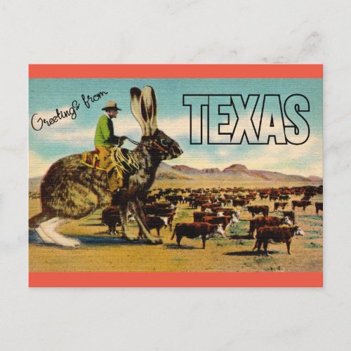 Texas Travel Greetings Postcard _ Vintage Travel