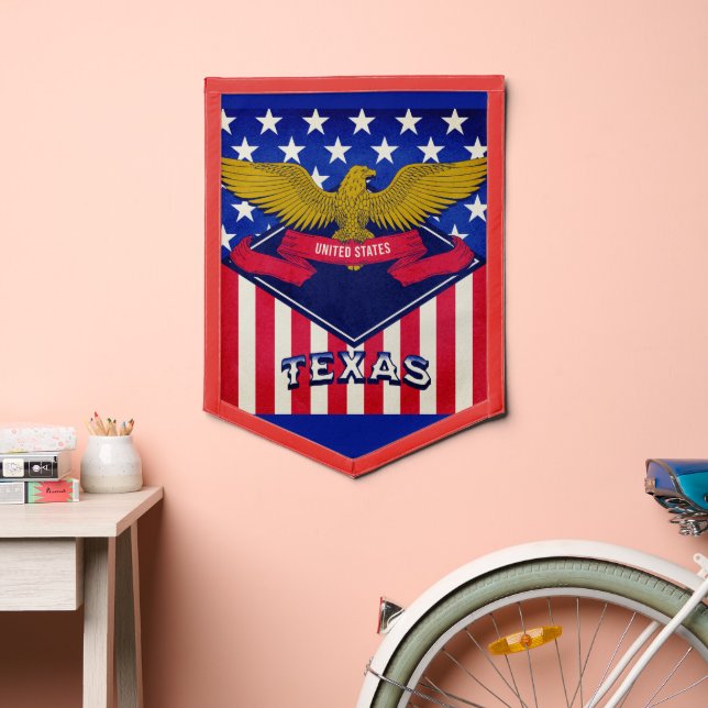 Texas USA Flag (Insitu 2)