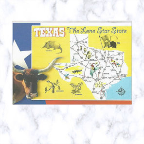 Texas Vintage Lone Star State Postcard