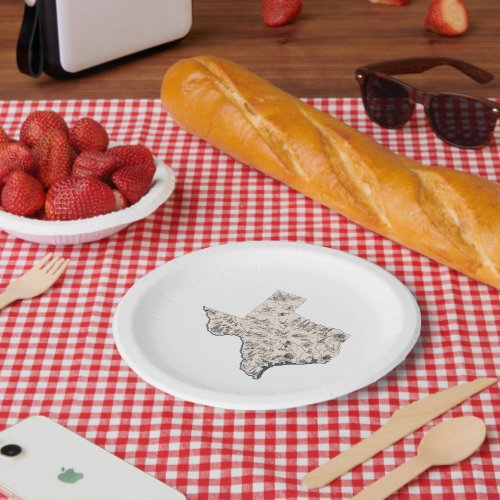 Texas Vintage Texan Picture Map Lone Star Party Paper Plates