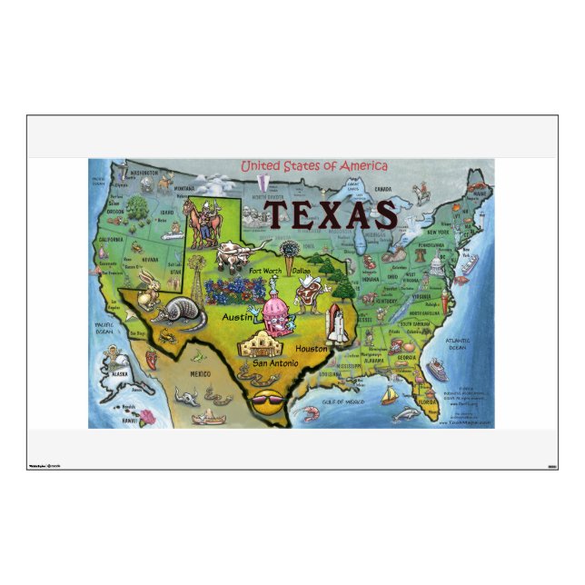 Texas vs USA Wall Decal (Front)