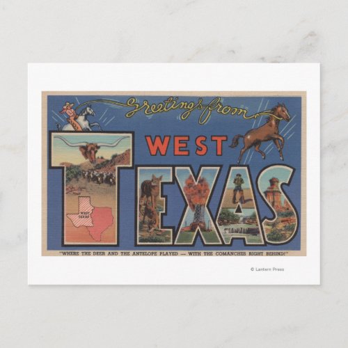 Texas WesternLarge Letter Scenes Postcard