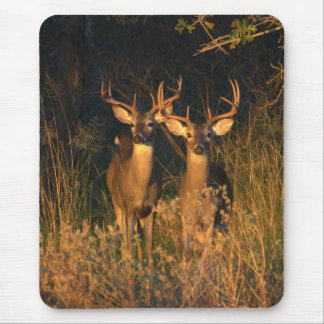 Texas Whitetails Mouse Pad
