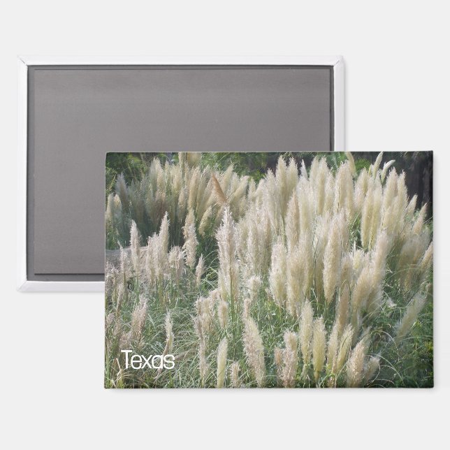 Texas Wild Flowers Magnet (Front/Back)