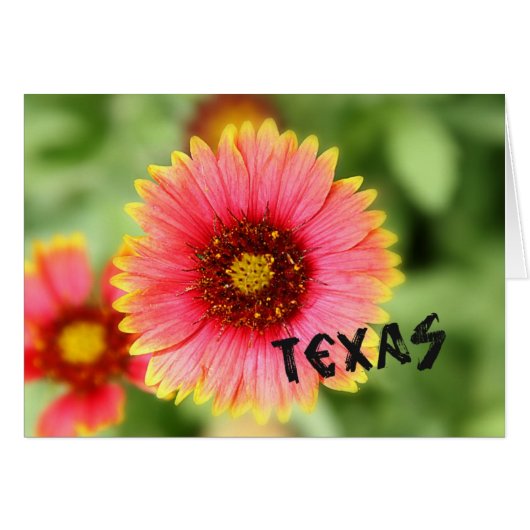 Texas Wildflower (Front Horizontal)