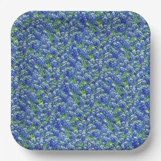 Texas Wildflower Field Paper Plates (Front)