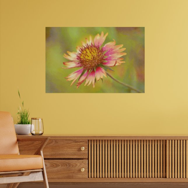 Texas Wildflower Indian Blanket Firewheel Art Poster (Living Room 2)