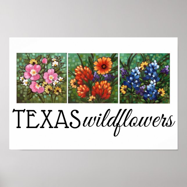"Texas Wildflowers" 16.5" x 11" Poster (Front)