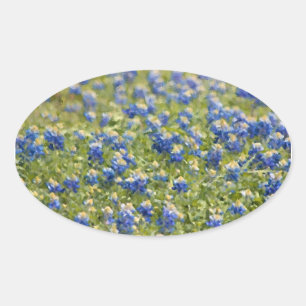 Texas Wildflowers Bluebonnets Digital Painting Oval Sticker