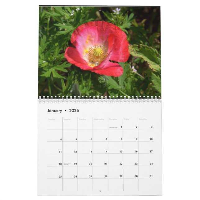 Texas Wildflowers Calendar (Jan 2026)