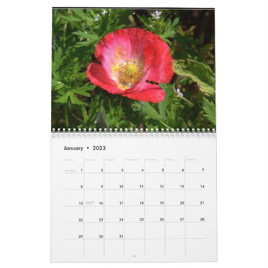 Texas Wildflowers Calendar