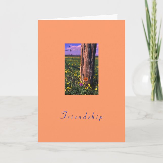 "Texas Wildflowers Friendship" Holiday Card (Front)