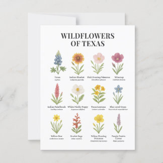 Texas Wildflowers in Watercolor Style Postcard