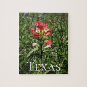 Texas Wildflowers Jigsaw Puzzle
