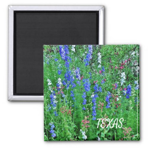 Texas Wildflowers Magnet