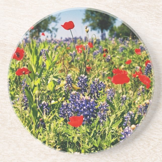Texas Wildflowers Sandstone Coaster (Front)