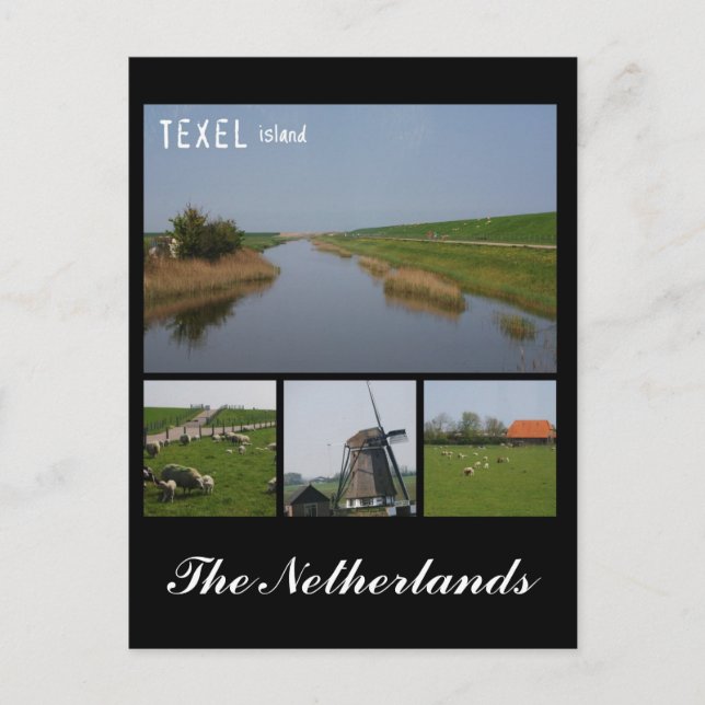 Texel Island Postcard (Front)