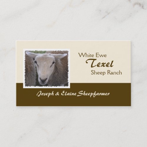 Texel Sheep business card
