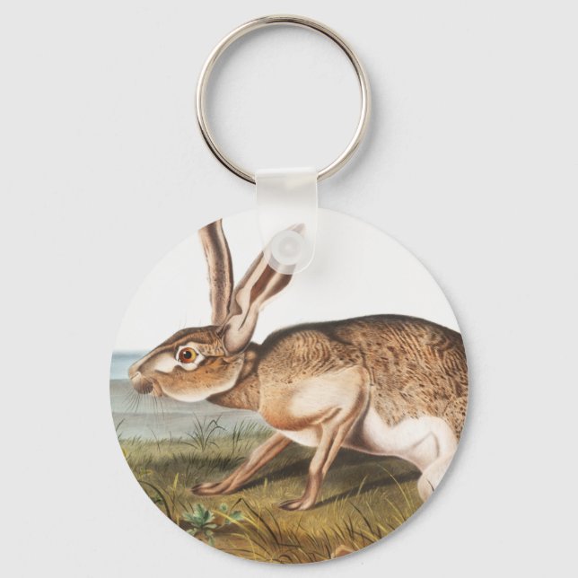 Texian Hare (Lepus Texianus) Rabbit Illustration Keychain (Front)