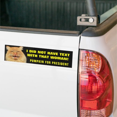 Texting Not this Cat Bumper Sticker