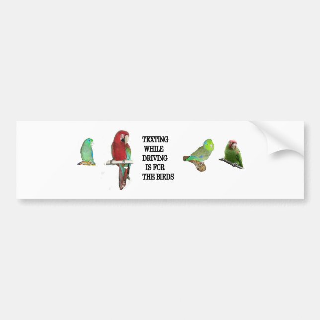 Texting While Driving Is For The Birds Sticker (Front)