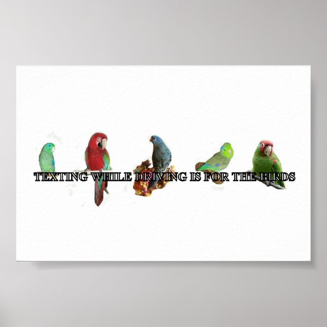 Texting While Driving Poster (Front)