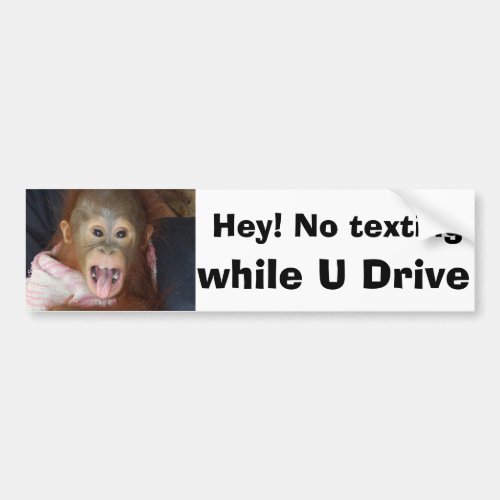 Texting While Driving Warning Sign Bumper Sticker