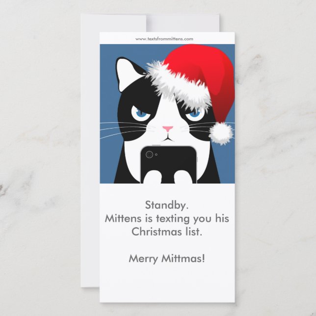 Texts from Mittens Christmas Photocard Holiday Card (Front)