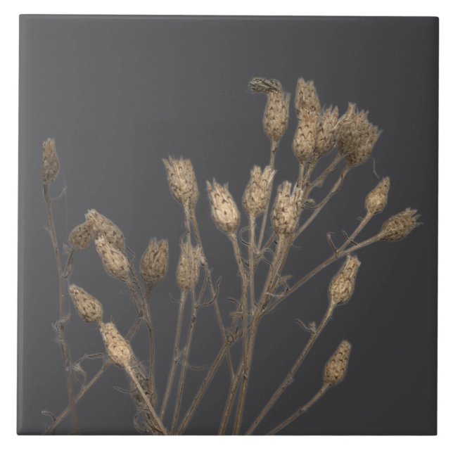 Textural Treasures of Winter on a Ceramic Tile - C (Front)