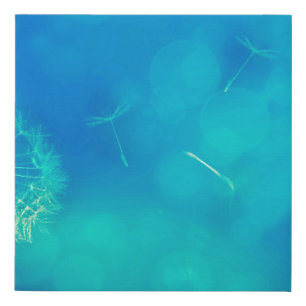 Texture background dandelion nature faux canvas print