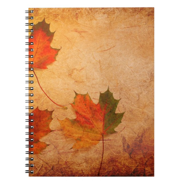Texture background maple notebook (Front)