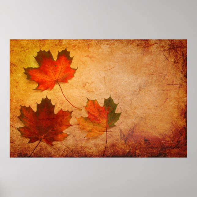 Texture background maple poster (Front)