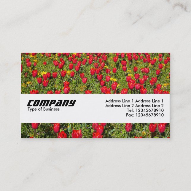Texture Band - Tulips II Business Card (Front)