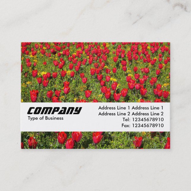 Texture Band - Tulips II Business Card (Front)