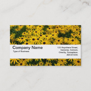 Texture Band V2 - Black-eyed Susans Business Card