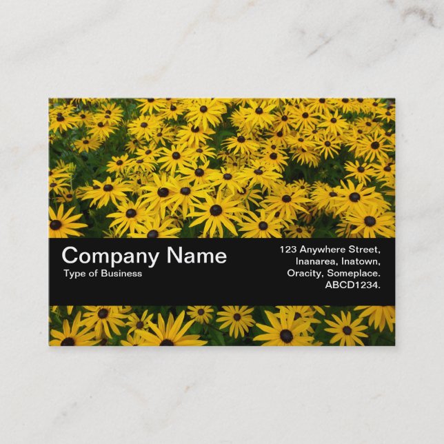 Texture Band V2 - Black-eyed Susans (Rudbeckia Hir Business Card (Front)