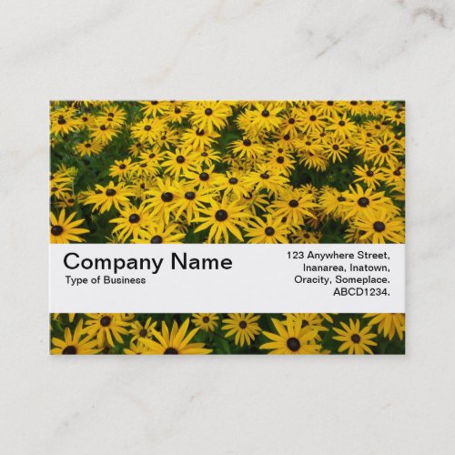 Texture Band V2 _ Black_eyed Susans Rudbeckia Hir Business Card