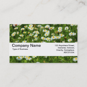 Texture Band V2 - Daisy Meadow Business Card