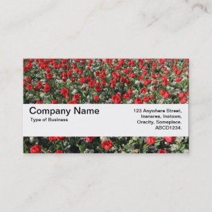 Texture Band V2 - Red Tulips and Primroses Business Card