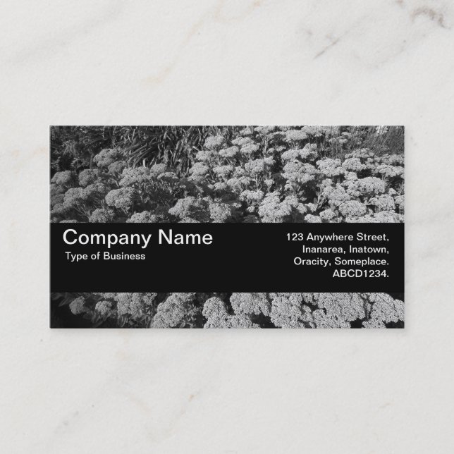 Texture Band V2 - Sedum "Autumn Joy" Business Card (Front)